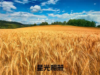 姜早池阳星光相册完整版全文在线赏析-星光相册全文在线阅读