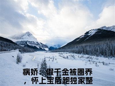 白梦鱼沈听肆全文免费阅读全文免费阅读无弹窗大结局_病娇：假千金被圈养，怀上宝后跑全文免费阅读