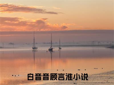 宝贝儿，别离婚命都给你（白音音顾言淮）全文免费阅读无弹窗大结局_白音音顾言淮小说最新章节列表_笔趣阁（宝贝儿，别离婚命都给你）