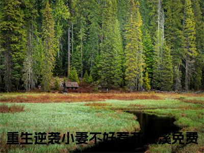 重生逆袭小妻不好惹苏灵溪(重生逆袭小妻不好惹苏灵溪)全文无弹窗大结局_重生逆袭小妻不好惹苏灵溪在线阅读无弹窗最新章节列表_笔趣阁