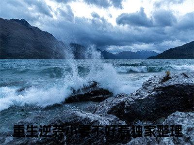 重生逆袭小妻不好惹小说苏灵溪全文免费阅读无弹窗-正版小说重生逆袭小妻不好惹全文阅读