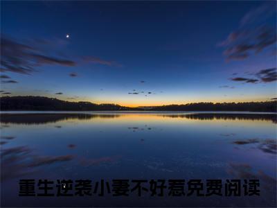 重生逆袭小妻不好惹（苏灵溪全文在线阅读）-重生逆袭小妻不好惹(苏灵溪)免费阅读