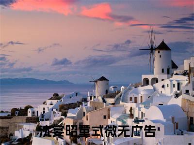 沈宴昭童式微最新完结小说阅读-沈宴昭童式微小说收藏阅读