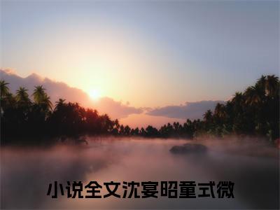 精选好书沈宴昭童式微全文免费阅读大结局_沈宴昭童式微（沈宴昭童式微）完整版在线赏析