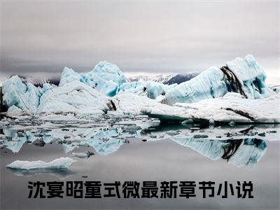 沈宴昭童式微在线阅读-正版小说《沈宴昭童式微》沈宴昭童式微全文阅读
