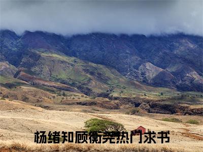 杨绪知顾衡尧（杨绪知顾衡尧）全文免费阅读无弹窗大结局_杨绪知顾衡尧最新章节列表_