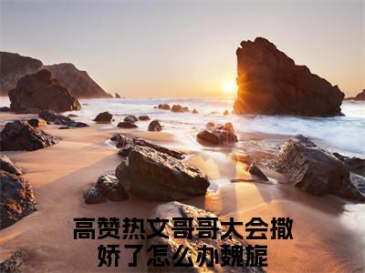 哥哥太会撒娇了怎么办魏旎精选言情小说- 哥哥太会撒娇了怎么办魏旎全文在线阅读