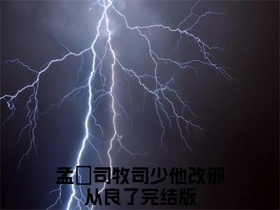 司少他改邪从良了是哪部小说的主角-孟梒司牧（司少他改邪从良了）全文无弹窗完整版阅读孟梒司牧