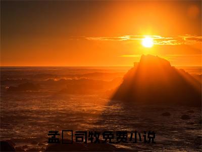 司少他改邪从良了全文免费阅读无弹窗大结局（孟梒司牧）_司少他改邪从良了最新章节列表_笔趣阁（孟梒司牧）