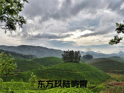 东方玖陆屿霄小说小说全集免费阅读 东方玖陆屿霄章节目录