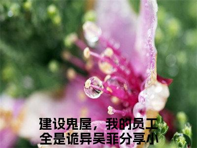 建设鬼屋，我的员工全是诡异吴菲全文免费阅读无弹窗大结局_ 建设鬼屋，我的员工全是诡异吴菲热门章节在线阅读笔趣阁