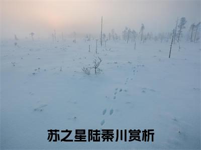 苏之星陆秦川（苏之星陆秦川）全文免费阅读大结局-（苏之星陆秦川）最新章节阅读