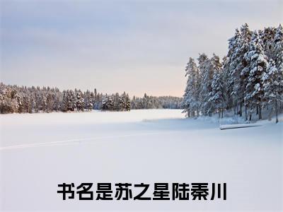 苏之星陆秦川（苏之星陆秦川）全文免费阅读无弹窗大结局_苏之星陆秦川最新章节列表_笔趣阁（苏之星陆秦川）