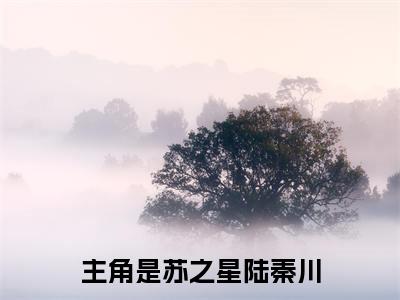 苏之星陆秦川小说大结局完整版阅读，苏之星陆秦川小说全文在线阅读