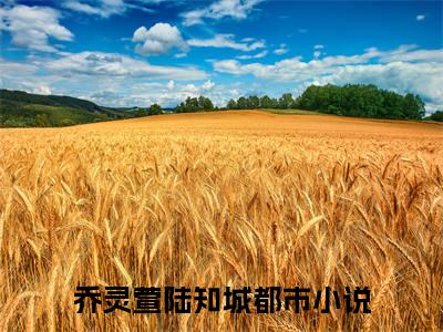 乔灵萱陆知城小说全文大结局-乔灵萱陆知城（乔灵萱陆知城）小说全文免费阅读