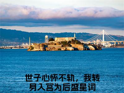 世子心怀不轨，我转身入宫为后盛星词是什么小说-世子心怀不轨，我转身入宫为后盛星词无弹窗免费阅读大结局最新章节列表_笔趣阁