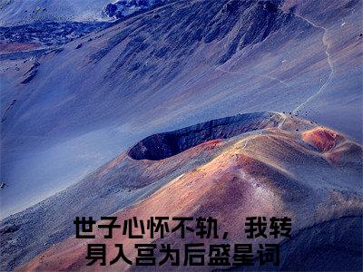 世子心怀不轨，我转身入宫为后盛星词精彩章节免费阅读_世子心怀不轨，我转身入宫为后盛星词抖音热推小说最新章节阅读