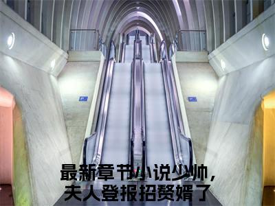 少帅，夫人登报招赘婿了（阮穗安霍櫂）全文免费阅读无弹窗大结局_（阮穗安霍櫂）少帅，夫人登报招赘婿了最新章节列表