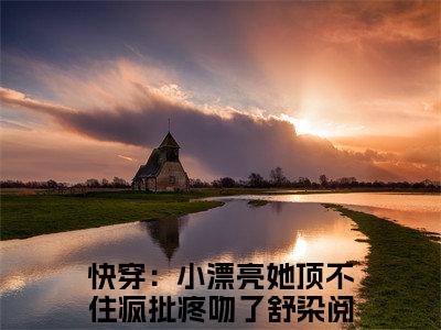 快穿：小漂亮她顶不住疯批疼吻了舒染全文免费完整版 快穿：小漂亮她顶不住疯批疼吻了舒染在线试读