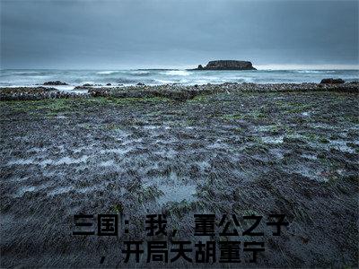 三国：我，董公之子，开局天胡董宁正版小说最新章节在线阅读-老书虫推荐三国：我，董公之子，开局天胡董宁小说