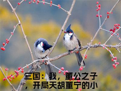 热门榜单精彩小说三国：我，董公之子，开局天胡董宁，三国：我，董公之子，开局天胡董宁推荐小说免费章节阅读