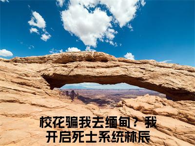 校花骗我去缅甸？我开启死士系统林辰（校花骗我去缅甸？我开启死士系统林辰）最新章节在线阅读-全文小说（校花骗我去缅甸？我开启死士系统林辰）免费阅读