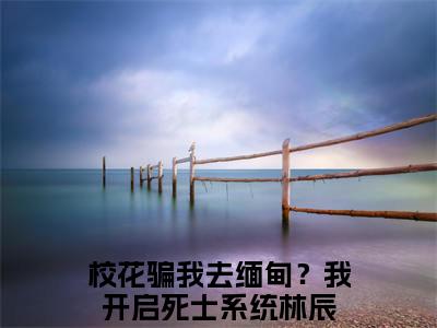 《校花骗我去缅甸？我开启死士系统林辰小说》在线阅读-校花骗我去缅甸？我开启死士系统林辰免费完整版在线阅读