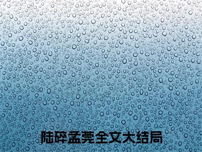 热门小说已完结曾经也爱过你小说无弹窗大结局_曾经也爱过你陆碎孟莞全文阅读大结局