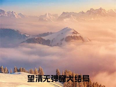 许阮清宋谨之小说（望清）全文免费阅读无弹窗大结局_（望清）许阮清宋谨之小说无弹窗精彩阅读_笔趣阁