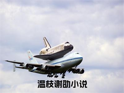 温枝谢劭小说(温枝谢劭)全文免费阅读无弹窗(小说全文免费阅读)温枝谢劭最新章节列表_笔趣阁