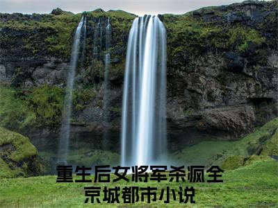 重生后女将军杀疯全京城在线阅读（宋若昭靳离小说）全文免费阅读无弹窗大结局_宋若昭靳离免费最新章节列表
