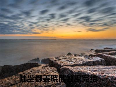陆尘御姜晓欣是什么小说-（陆尘御姜晓欣）小说全文阅读