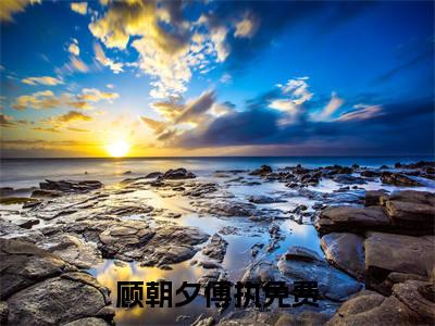 顾朝夕傅执小说最新章节免费阅读-顾朝夕傅执全文赏析完整版