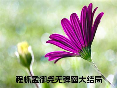 程栎孟御尧（遥望心动）全文免费阅读无弹窗大结局_遥望心动小说最新章节列表_笔趣阁（程栎孟御尧）