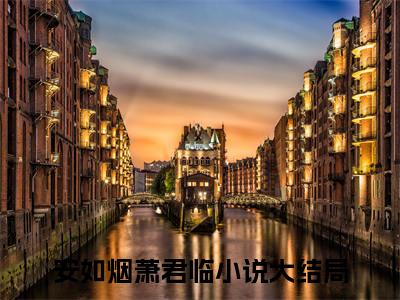 灭太子妃怀双胎，太子宠娇妾封后主角是安如烟萧君临全文免费阅读无弹窗-灭太子妃怀双胎，太子宠娇妾封后最新章节列表-笔趣阁