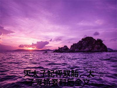 灭太子妃怀双胎，太子宠娇妾封后小说在线阅读全文无弹窗大结局_安如烟萧君临小说免费最新章节列表