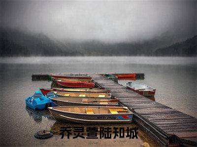 乔灵萱陆知城小说（乔灵萱陆知城）免费阅读全文无弹窗大结局_乔灵萱陆知城免费阅读无弹窗小说_小说笔趣阁