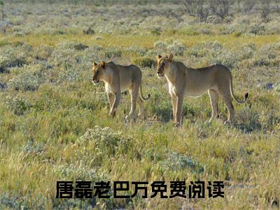 唐磊老巴万小说（厨神：从监狱掌大勺开始）全文免费阅读-唐磊老巴万全文阅读无弹窗