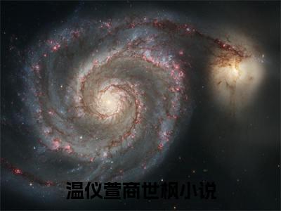 温仪萱商世枫全文免费阅读大结局 温仪萱商世枫小说最新章节阅读无弹窗
