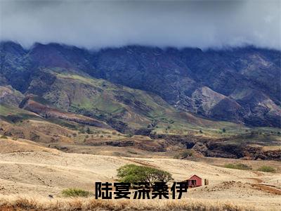 陆宴深桑伊（陆宴深桑伊）全文免费阅读无弹窗大结局_（陆宴深桑伊）免费阅读无弹窗最新章节列表