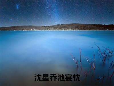 沈星乔池宴忱大结局免费阅读 沈星乔池宴忱全文小说
