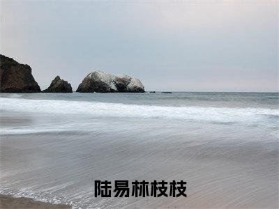 陆易林枝枝小说在线阅读-穿书后，总裁他天天加班挣奶粉钱小说最新章节阅读