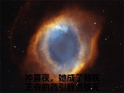 冲喜夜，她成了残疾王爷的药引小说免费阅读全文小说容洛殷无双全章节阅读