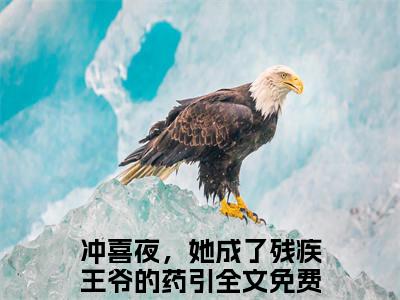 殷无双容洛小说免费（冲喜夜，她成了残疾王爷的药引）全文免费阅读无弹窗-殷无双容洛小说全文免费阅读-笔趣阁