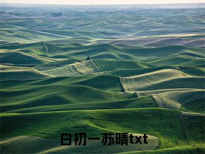 白初一苏晴小说全文（鬼妻）在线阅读-白初一苏晴全文免费阅读无弹窗大结局（白初一苏晴后续+免费）