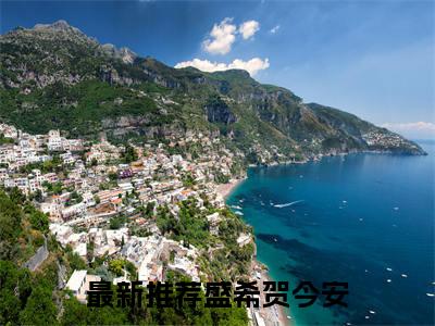 盛希贺今安小说全文免费阅读 （盛希贺今安）免费阅读全文免费阅读无弹窗大结局