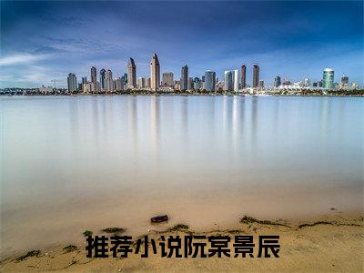 阮棠景辰（阮棠景辰）全文免费阅读无弹窗大结局_（阮棠景辰）已完结全集大结局小说