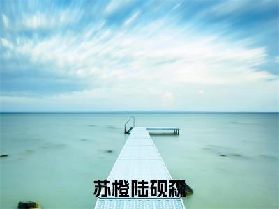 苏橙陆砚森小说全文在线赏析 苏橙陆砚森小说免费阅读全文大结局