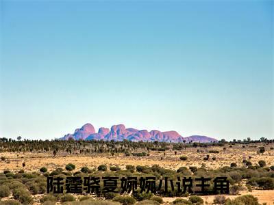 陆霆骁夏婉婉(陆霆骁夏婉婉)小说全文免费阅读无弹窗大结局_（陆霆骁夏婉婉全文免费阅读）陆霆骁夏婉婉最新章节列表笔趣阁（陆霆骁夏婉婉）