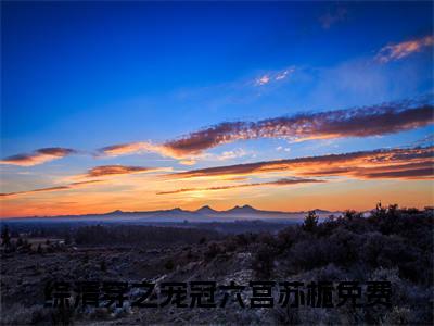 （综清穿之宠冠六宫苏栀）抖音综清穿之宠冠六宫苏栀小说阅读完结版-综清穿之宠冠六宫苏栀小说全文免费阅读